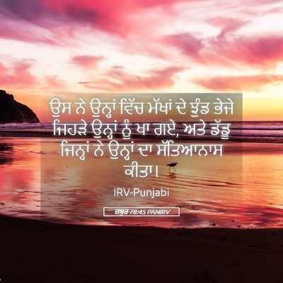 Picture 05 - ਜ਼ਬੂਰ 78:45 PANIRV - ਉਸ ਨੇ ਉਨ੍ਹਾਂ ਵਿੱਚ - Bible Verse Picture