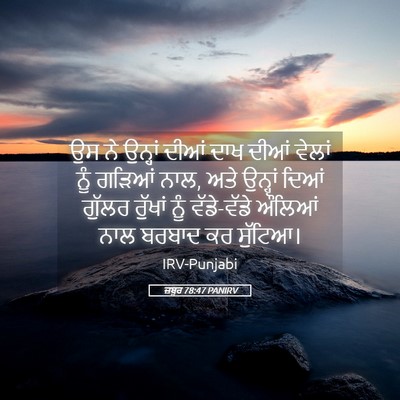 Picture 05 - ਜ਼ਬੂਰ 78:47 PANIRV - ਉਸ ਨੇ ਉਨ੍ਹਾਂ ਦੀਆਂ - Bible Verse Picture