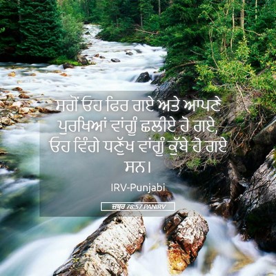 Picture 05 - ਜ਼ਬੂਰ 78:57 PANIRV - ਸਗੋਂ ਓਹ ਫਿਰ ਗਏ ਅਤੇ - Bible Verse Picture