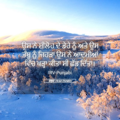 Picture 05 - ਜ਼ਬੂਰ 78:60 PANIRV - ਉਸ ਨੇ ਸ਼ੀਲੋਹ ਦੇ - Bible Verse Picture