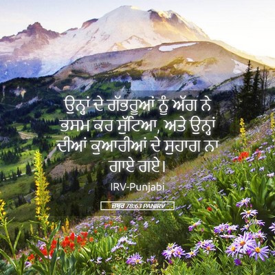 Picture 05 - ਜ਼ਬੂਰ 78:63 PANIRV - ਉਨ੍ਹਾਂ ਦੇ ਗੱਭਰੂਆਂ - Bible Verse Picture