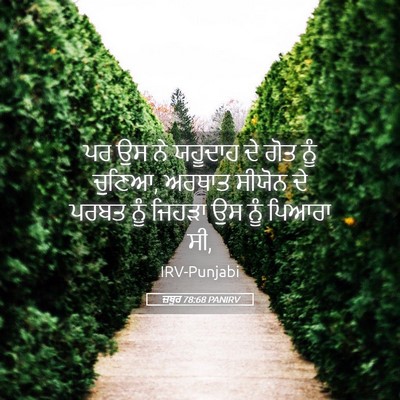 Picture 05 - ਜ਼ਬੂਰ 78:68 PANIRV - ਪਰ ਉਸ ਨੇ ਯਹੂਦਾਹ ਦੇ - Bible Verse Picture