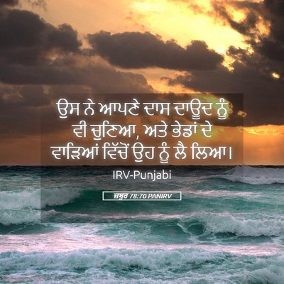 Picture 05 - ਜ਼ਬੂਰ 78:70 PANIRV - ਉਸ ਨੇ ਆਪਣੇ ਦਾਸ ਦਾਊਦ - Bible Verse Picture