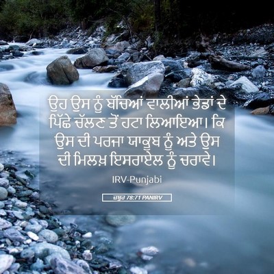 Picture 05 - ਜ਼ਬੂਰ 78:71 PANIRV - ਉਹ ਉਸ ਨੂੰ ਬੱਚਿਆਂ - Bible Verse Picture