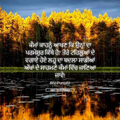 Picture 05 - ਜ਼ਬੂਰ 79:10 PANIRV - ਕੌਮਾਂ ਕਾਹਨੂੰ ਆਖਣ - Bible Verse Picture