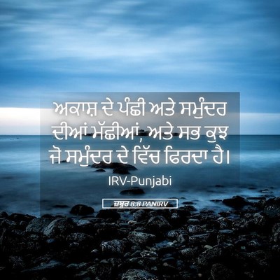 Picture 05 - ਜ਼ਬੂਰ 8:8 PANIRV - ਅਕਾਸ਼ ਦੇ ਪੰਛੀ ਅਤੇ - Bible Verse Picture
