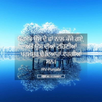 Picture 05 - ਜ਼ਬੂਰ 80:10 PANIRV - ਪਰਬਤ ਉਸ ਦੇ ਛਾਂ ਨਾਲ - Bible Verse Picture