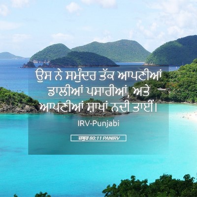 Picture 05 - ਜ਼ਬੂਰ 80:11 PANIRV - ਉਸ ਨੇ ਸਮੁੰਦਰ ਤੱਕ - Bible Verse Picture
