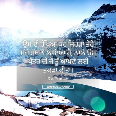Picture 05 - ਜ਼ਬੂਰ 80:15 PANIRV - ਉਸ ਦੀ ਰੱਖਿਆ ਕਰ - Bible Verse Picture