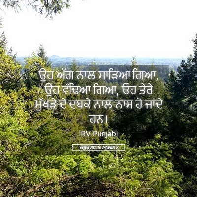 Picture 05 - ਜ਼ਬੂਰ 80:16 PANIRV - ਉਹ ਅੱਗ ਨਾਲ ਸਾੜਿਆ - Bible Verse Picture