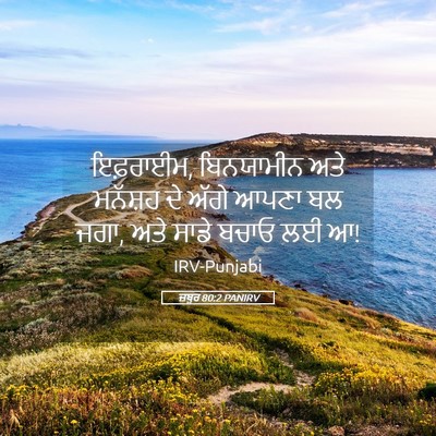 Picture 05 - ਜ਼ਬੂਰ 80:2 PANIRV - ਇਫ਼ਰਾਈਮ, ਬਿਨਯਾਮੀਨ - Bible Verse Picture