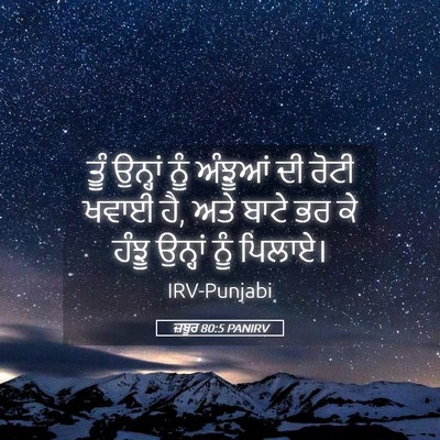 Picture 05 - ਜ਼ਬੂਰ 80:5 PANIRV - ਤੂੰ ਉਨ੍ਹਾਂ ਨੂੰ - Bible Verse Picture