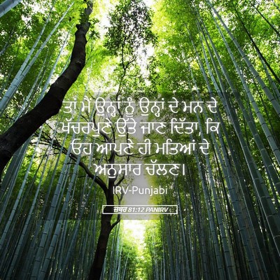 Picture 05 - ਜ਼ਬੂਰ 81:12 PANIRV - ਤਾਂ ਮੈਂ ਉਨ੍ਹਾਂ ਨੂੰ - Bible Verse Picture