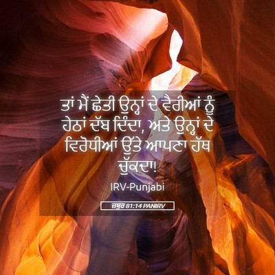 Picture 05 - ਜ਼ਬੂਰ 81:14 PANIRV - ਤਾਂ ਮੈਂ ਛੇਤੀ - Bible Verse Picture