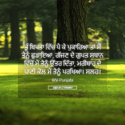 Picture 05 - ਜ਼ਬੂਰ 81:7 PANIRV - ਤੂੰ ਬਿਪਤਾ ਵਿੱਚ ਪੈ - Bible Verse Picture
