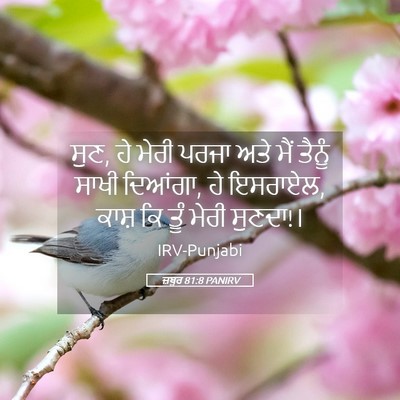 Picture 05 - ਜ਼ਬੂਰ 81:8 PANIRV - ਸੁਣ, ਹੇ ਮੇਰੀ ਪਰਜਾ - Bible Verse Picture
