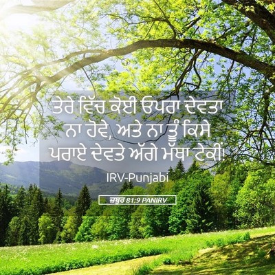 Picture 05 - ਜ਼ਬੂਰ 81:9 PANIRV - ਤੇਰੇ ਵਿੱਚ ਕੋਈ ਓਪਰਾ - Bible Verse Picture