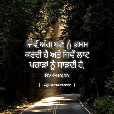 Picture 05 - ਜ਼ਬੂਰ 83:14 PANIRV - ਜਿਵੇਂ ਅੱਗ ਬਣ ਨੂੰ - Bible Verse Picture