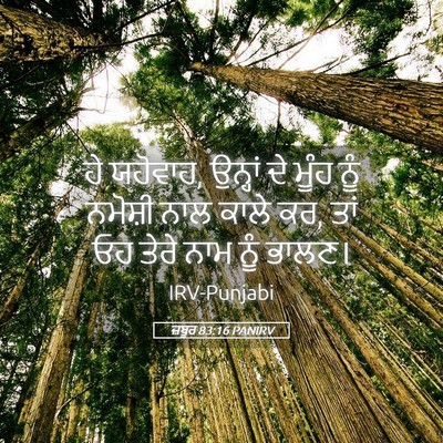 Picture 05 - ਜ਼ਬੂਰ 83:16 PANIRV - ਹੇ ਯਹੋਵਾਹ, ਉਨ੍ਹਾਂ - Bible Verse Picture
