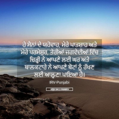 Picture 05 - ਜ਼ਬੂਰ 84:3 PANIRV - ਹੇ ਸੈਨਾਂ ਦੇ ਯਹੋਵਾਹ, - Bible Verse Picture
