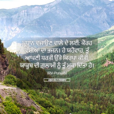 Picture 05 - ਜ਼ਬੂਰ 85:1 PANIRV - ਪ੍ਰਧਾਨ ਵਜਾਉਣ ਵਾਲੇ - Bible Verse Picture