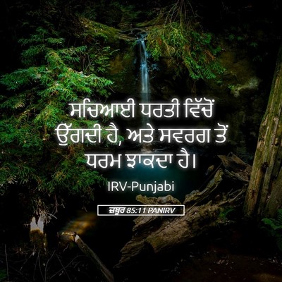 Picture 05 - ਜ਼ਬੂਰ 85:11 PANIRV - ਸਚਿਆਈ ਧਰਤੀ ਵਿੱਚੋਂ - Bible Verse Picture