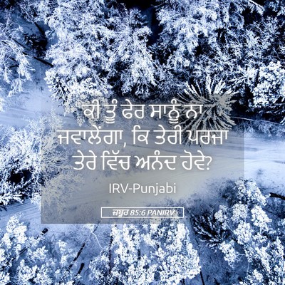Picture 05 - ਜ਼ਬੂਰ 85:6 PANIRV - ਕੀ ਤੂੰ ਫੇਰ ਸਾਨੂੰ ਨਾ - Bible Verse Picture