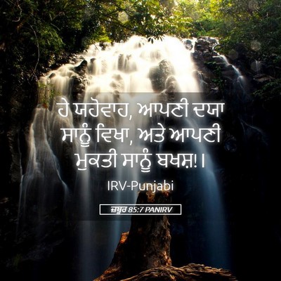 Picture 05 - ਜ਼ਬੂਰ 85:7 PANIRV - ਹੇ ਯਹੋਵਾਹ, ਆਪਣੀ ਦਯਾ - Bible Verse Picture