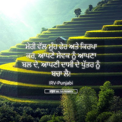 Picture 05 - ਜ਼ਬੂਰ 86:16 PANIRV - ਮੇਰੀ ਵੱਲ ਮੂੰਹ ਫੇਰ - Bible Verse Picture