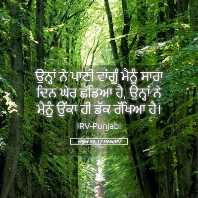 Picture 05 - ਜ਼ਬੂਰ 88:17 PANIRV - ਉਨ੍ਹਾਂ ਨੇ ਪਾਣੀ - Bible Verse Picture