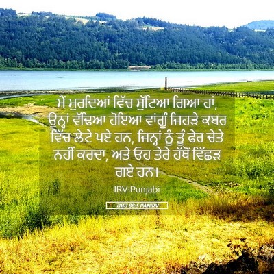 Picture 05 - ਜ਼ਬੂਰ 88:5 PANIRV - ਮੈਂ ਮੁਰਦਿਆਂ ਵਿੱਚ - Bible Verse Picture