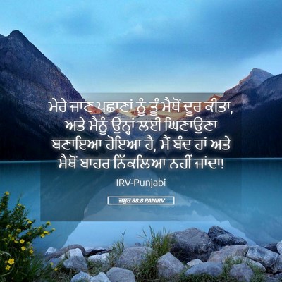 Picture 05 - ਜ਼ਬੂਰ 88:8 PANIRV - ਮੇਰੇ ਜਾਣ ਪਛਾਣਾਂ - Bible Verse Picture