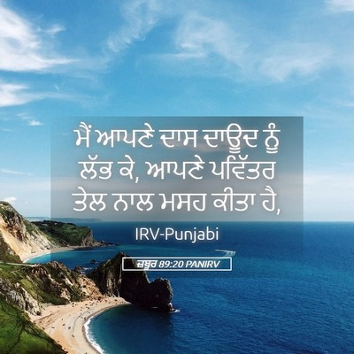 Picture 05 - ਜ਼ਬੂਰ 89:20 PANIRV - ਮੈਂ ਆਪਣੇ ਦਾਸ ਦਾਊਦ - Bible Verse Picture