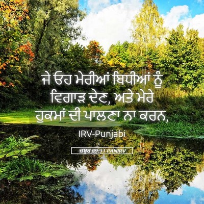 Picture 05 - ਜ਼ਬੂਰ 89:31 PANIRV - ਜੇ ਓਹ ਮੇਰੀਆਂ - Bible Verse Picture