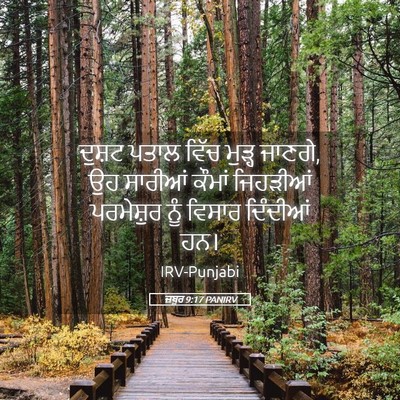 Picture 05 - ਜ਼ਬੂਰ 9:17 PANIRV - ਦੁਸ਼ਟ ਪਤਾਲ ਵਿੱਚ - Bible Verse Picture