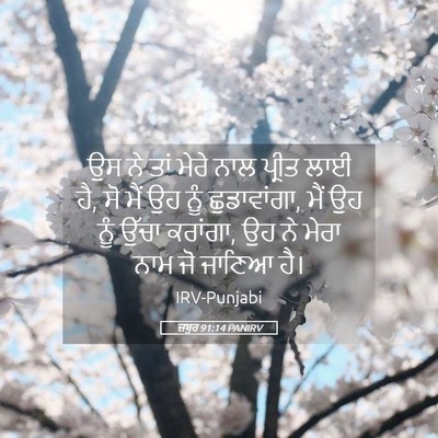 Picture 05 - ਜ਼ਬੂਰ 91:14 PANIRV - ਉਸ ਨੇ ਤਾਂ ਮੇਰੇ ਨਾਲ - Bible Verse Picture