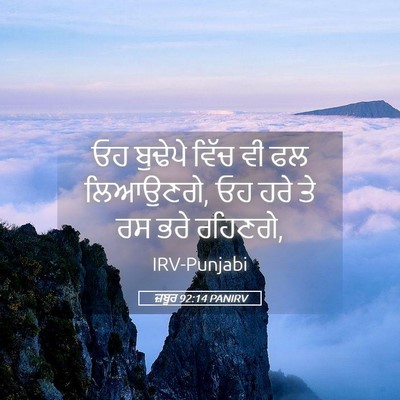 Picture 05 - ਜ਼ਬੂਰ 92:14 PANIRV - ਓਹ ਬੁਢੇਪੇ ਵਿੱਚ ਵੀ - Bible Verse Picture