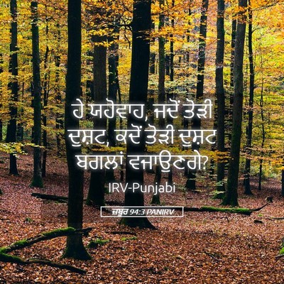 Picture 05 - ਜ਼ਬੂਰ 94:3 PANIRV - ਹੇ ਯਹੋਵਾਹ, ਜਦੋਂ - Bible Verse Picture