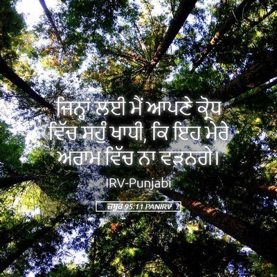 Picture 05 - ਜ਼ਬੂਰ 95:11 PANIRV - ਜਿਨ੍ਹਾਂ ਲਈ ਮੈਂ - Bible Verse Picture