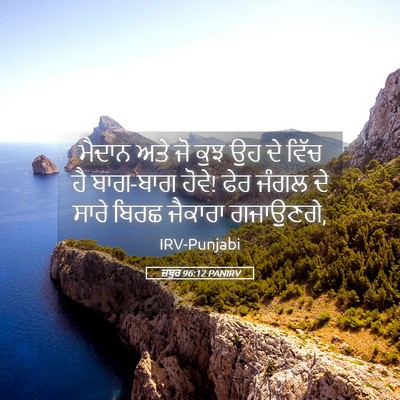 Picture 05 - ਜ਼ਬੂਰ 96:12 PANIRV - ਮੈਦਾਨ ਅਤੇ ਜੋ ਕੁਝ ਉਹ - Bible Verse Picture