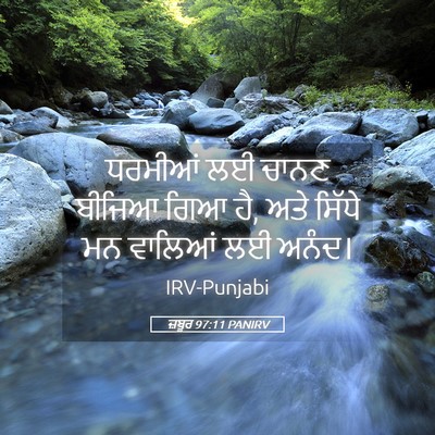 Picture 05 - ਜ਼ਬੂਰ 97:11 PANIRV - ਧਰਮੀਆਂ ਲਈ ਚਾਨਣ - Bible Verse Picture