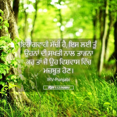 Picture 05 - ਤੀਤੁਸ 1:13 PANIRV - ਇਹ ਗਵਾਹੀ ਸੱਚੀ ਹੈ, - Bible Verse Picture