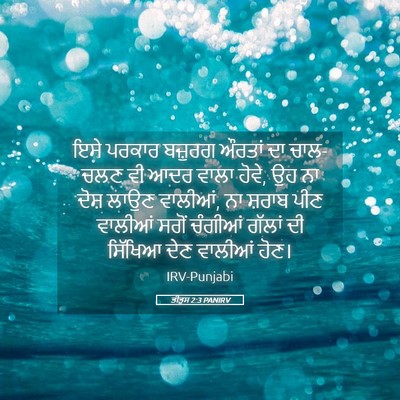 Picture 05 - ਤੀਤੁਸ 2:3 PANIRV - ਇਸੇ ਪਰਕਾਰ ਬਜ਼ੁਰਗ - Bible Verse Picture