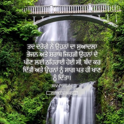 Picture 05 - ਦਾਨੀਏਲ 1:16 PANIRV - ਤਦ ਦਰੋਗੇ ਨੇ ਉਹਨਾਂ - Bible Verse Picture