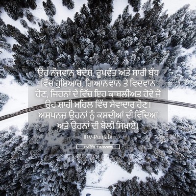 Picture 05 - ਦਾਨੀਏਲ 1:4 PANIRV - ਉਹ ਨੌਜਵਾਨ ਬੇਦੋਸ਼, - Bible Verse Picture