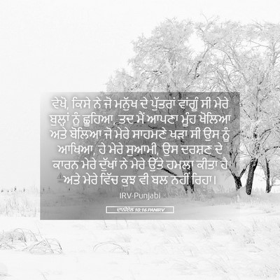 Picture 05 - ਦਾਨੀਏਲ 10:16 PANIRV - ਵੇਖੋ, ਕਿਸੇ ਨੇ ਜੋ - Bible Verse Picture