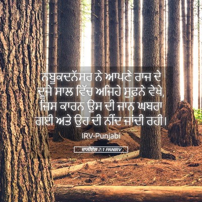 Picture 05 - ਦਾਨੀਏਲ 2:1 PANIRV - ਨਬੂਕਦਨੱਸਰ ਨੇ ਆਪਣੇ - Bible Verse Picture