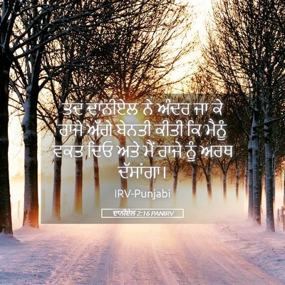 Picture 05 - ਦਾਨੀਏਲ 2:16 PANIRV - ਤਦ ਦਾਨੀਏਲ ਨੇ ਅੰਦਰ - Bible Verse Picture