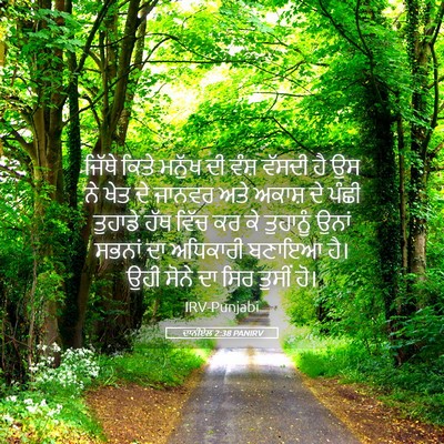 Picture 05 - ਦਾਨੀਏਲ 2:38 PANIRV - ਜਿੱਥੇ ਕਿਤੇ ਮਨੁੱਖ - Bible Verse Picture
