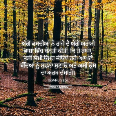 Picture 05 - ਦਾਨੀਏਲ 2:4 PANIRV - ਅੱਗੋਂ ਕਸਦੀਆਂ ਨੇ - Bible Verse Picture